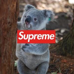 Meet your Posher, Javier